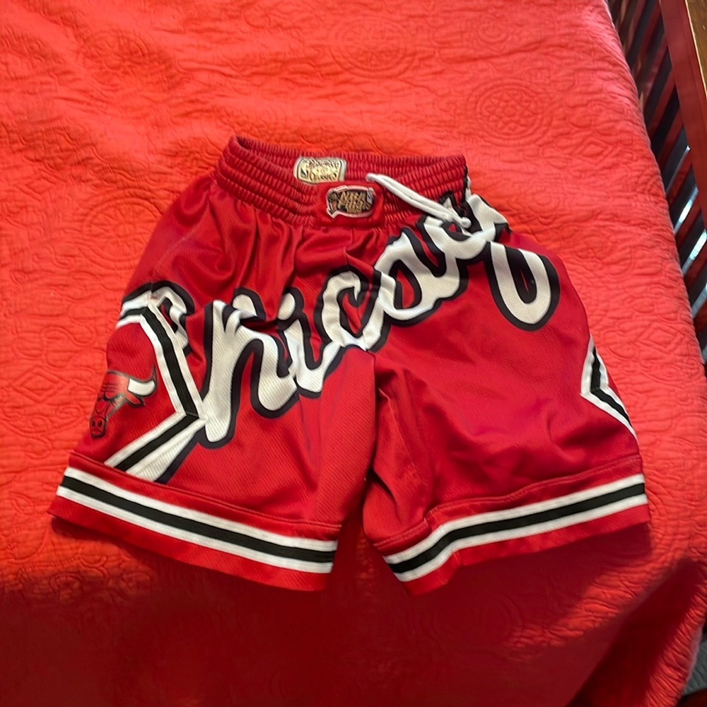Chicago Bulls Shorts (1996 NBA finals edition)